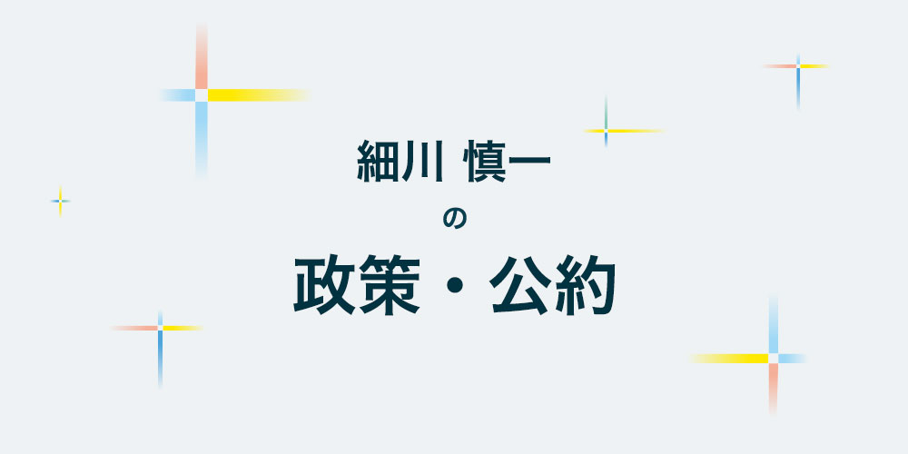 私とできる政治がある 細川慎一 | 政策と公約